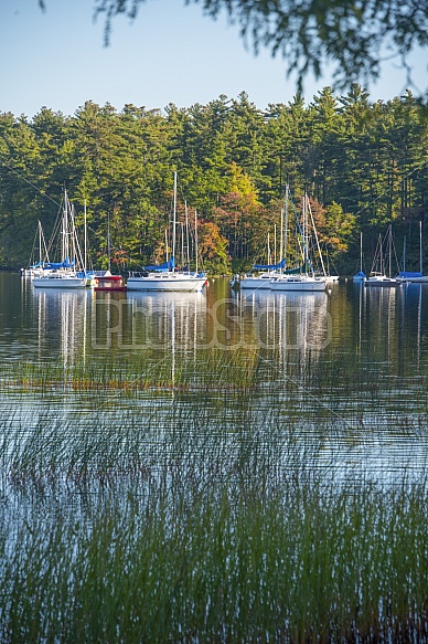 Lake Massabesic