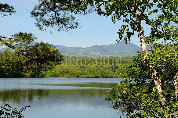 Mount Chocorua