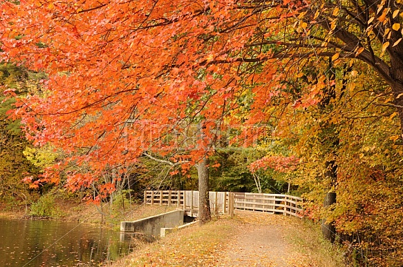 Mine Falls Park