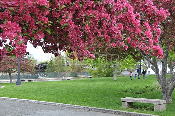 Spring In Prescott Park