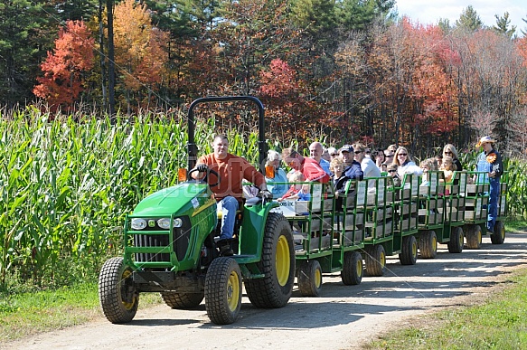 Tractor Rides