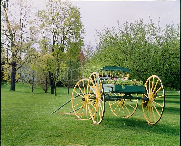 Antique Carriage