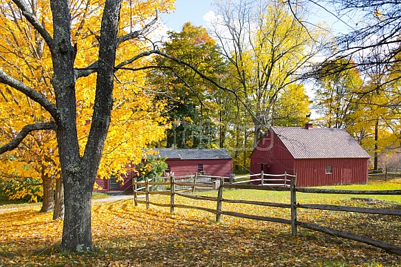 autumn farmhouse