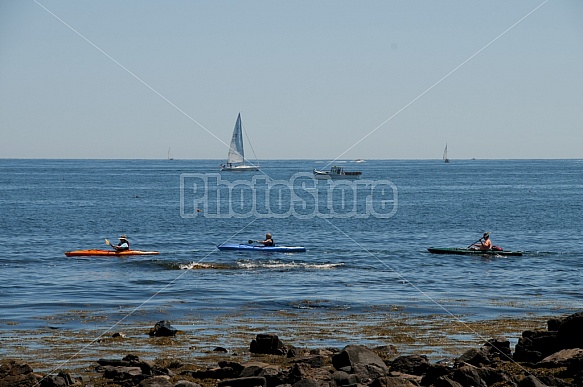 Summer Kayakers