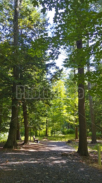 mountain path