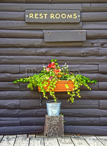 Restroom flowers