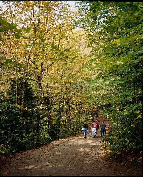 Flume Gorge