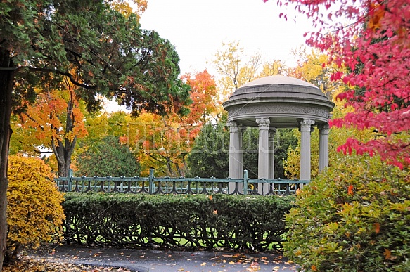 Autumn In A Park