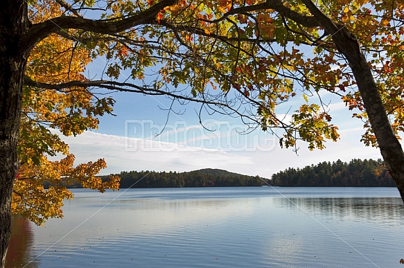 Maine Landscape