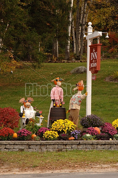 Fall Displays