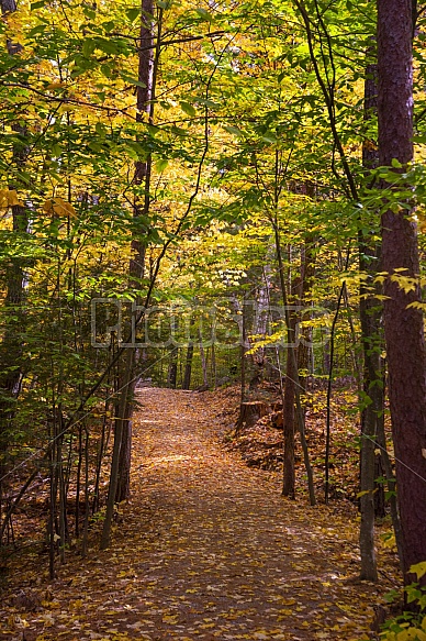 mountain path