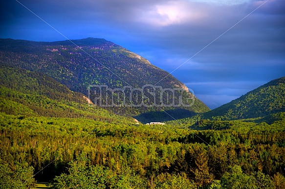 NH white mountains