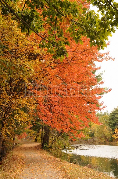 Mine Falls Park