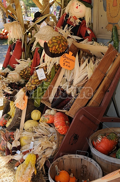 Farm Stand Fall Display