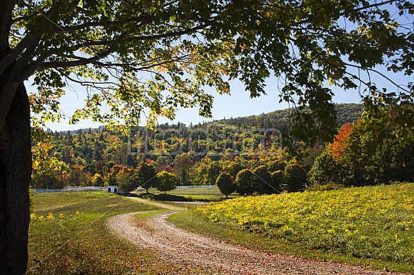 fall pasture