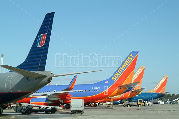 Airplanes At Terminal