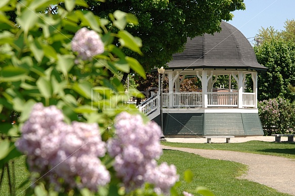 Park Gazebo