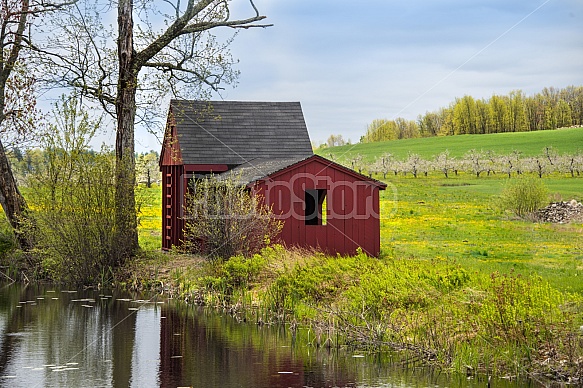 Springtime barn