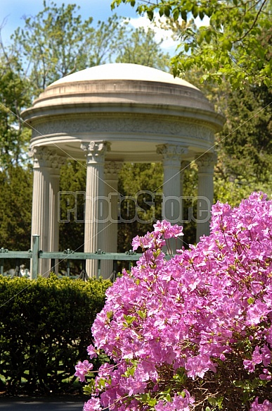 Park Gazebo Springtime