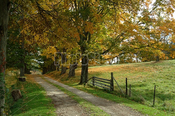 Scenic Footpath