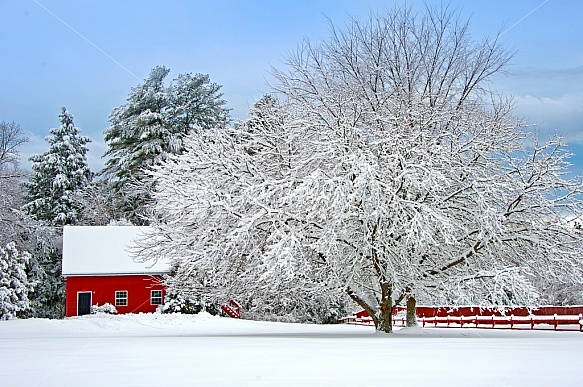 Red barns in winter