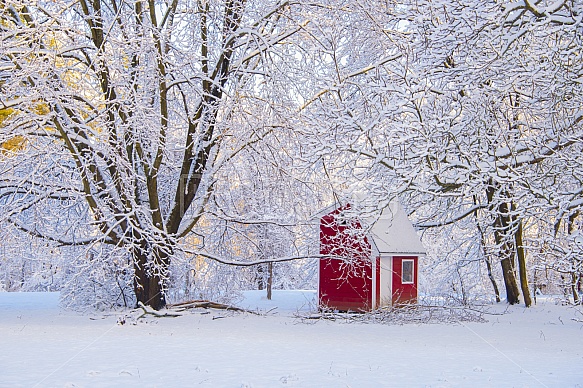 fresh snowfall