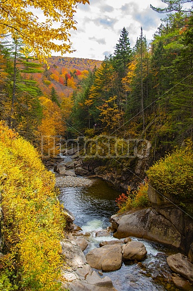 mountain stream