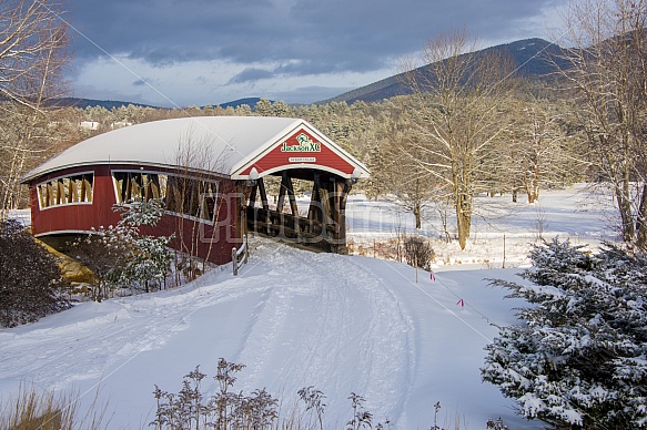 Jackson village bridge