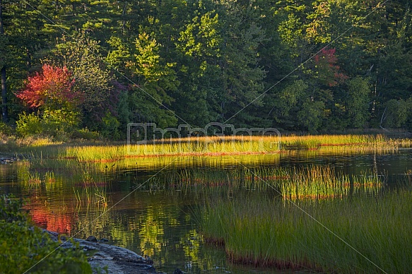 Massabesic Lake