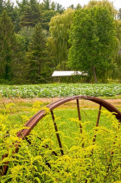 Farmland