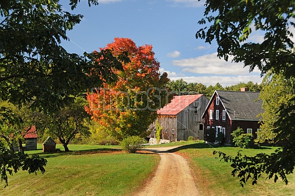 Scenic Barns