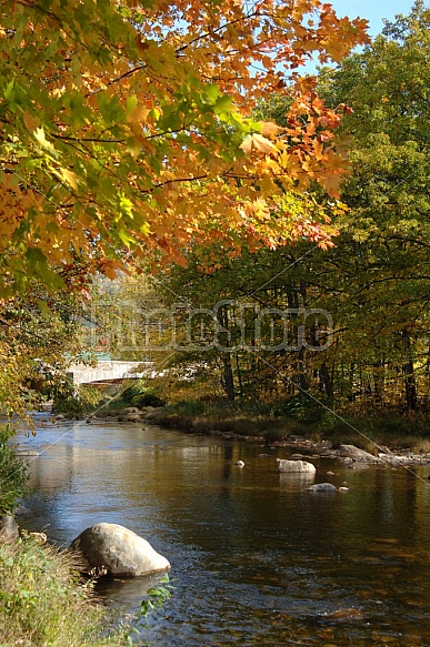 Fall Foliage And River