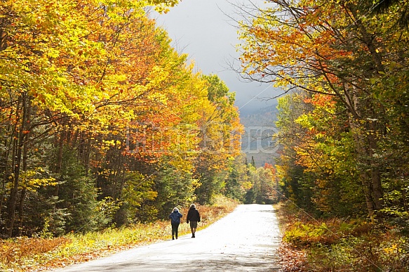 Country Road