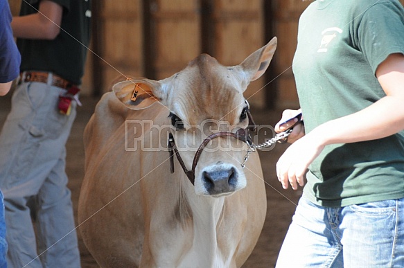 Deerfield Fair