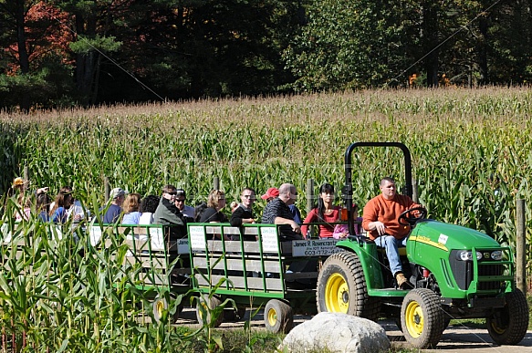 Tractor Rides