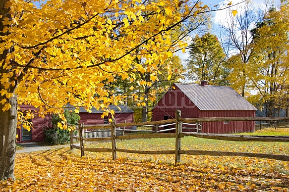 autumn farmhouse