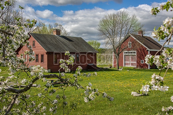 Spring Barn