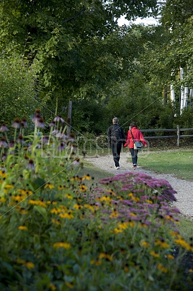 Scenic Footpath