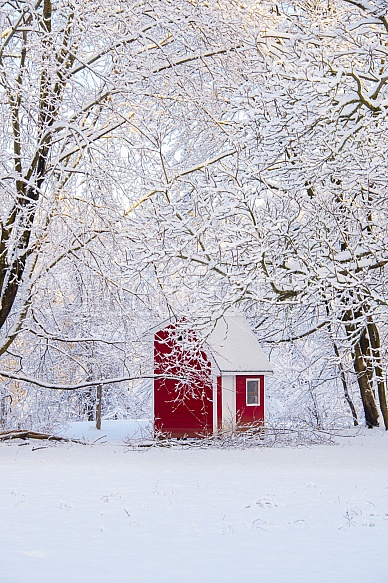 fresh snowfall