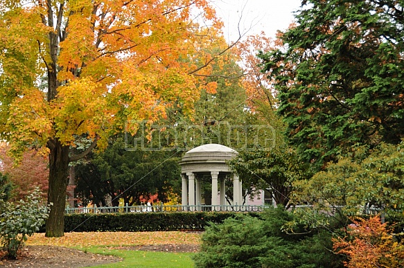 Autumn In A Park