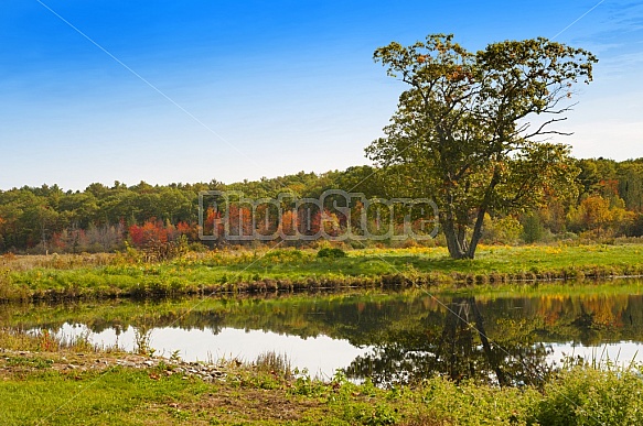 Maine Landscape