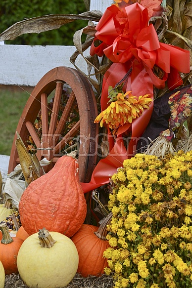 Fall Displays