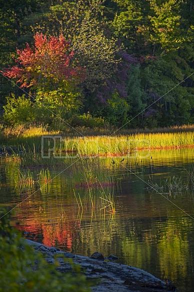 Massabesic Lake