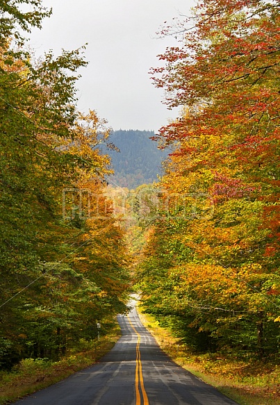 Scenic Roadways