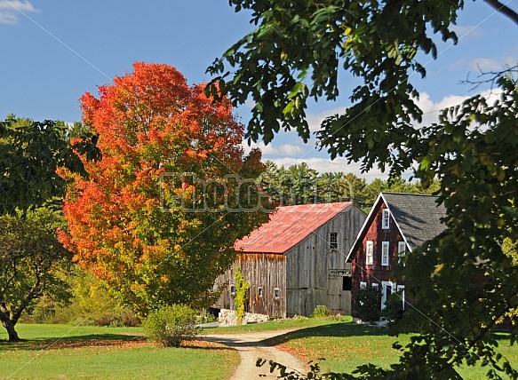 Scenic Barns