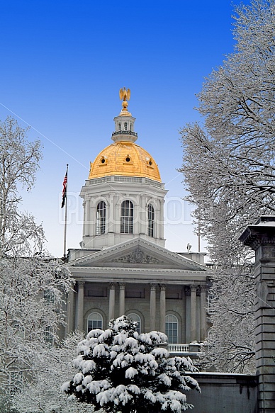 State House Concord