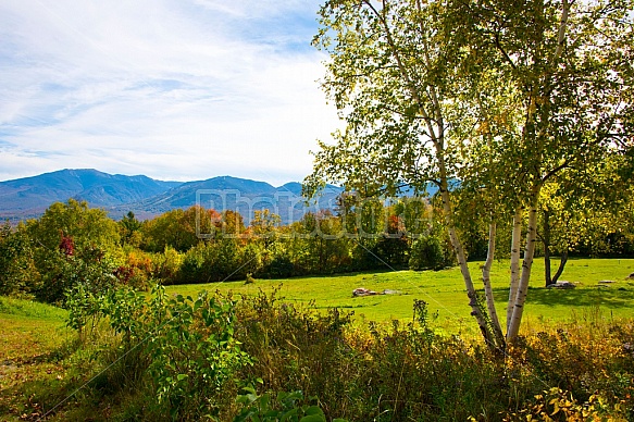 mountain views