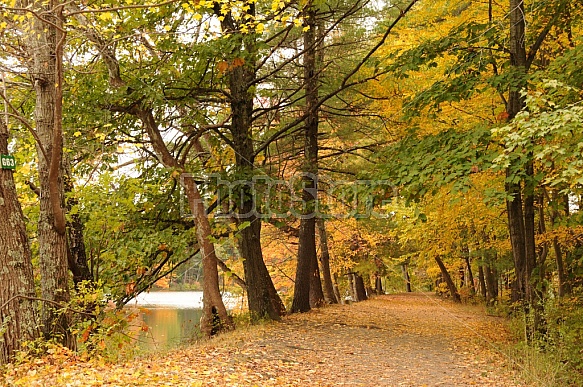 Mine Falls Park