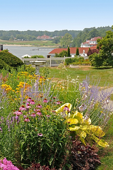 Coastal garden