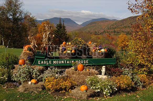 Eagle Mt. House